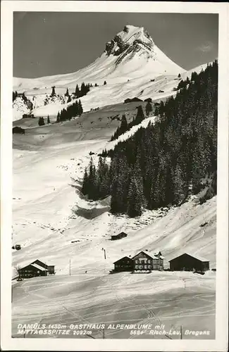 Damuels Gasthaus Alpenblume Mittagsspitze /  /