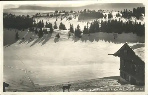 Riefensberg Alpwirtschaft Kojen Hund  / Riefensberg /Rheintal-Bodenseegebiet