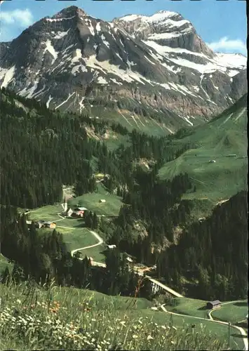 Schroecken Vorarlberg Juppenspitze Mohnenfluh  / Schroecken /Bludenz-Bregenzer Wald