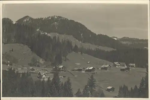 Schwende Kleinwalsertal  / Oesterreich /