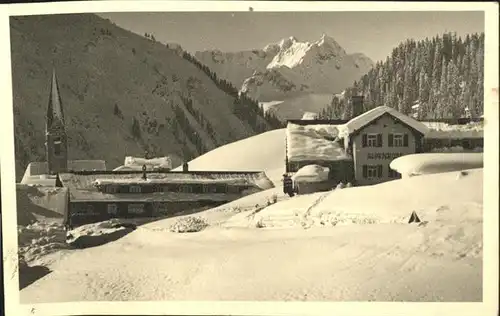 Mittelberg Kleinwalsertal Alpenrose / Oesterreich /