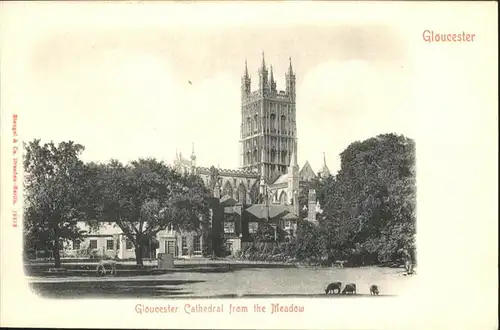Gloucester Cathedral Meadow / Gloucester /Gloucestershire