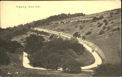 Box Hill & Headley Zig Zag / Mole Valley /Surrey