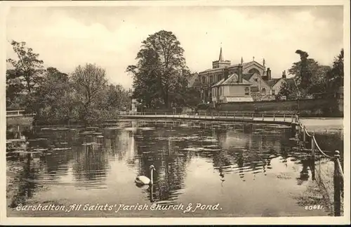 Carshalton Church Pond Schwan / Sutton /Outer London - South