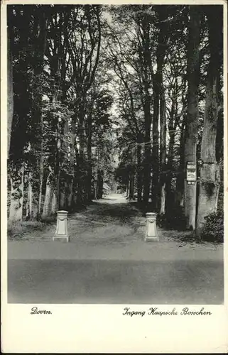 Doorn Niederlande Doorn Kaapsche Bosschen x / Utrechtse Heuvelrug /Utrecht