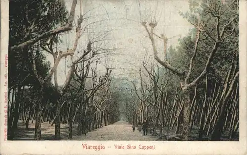 Viareggio Viale Gino Capponi x