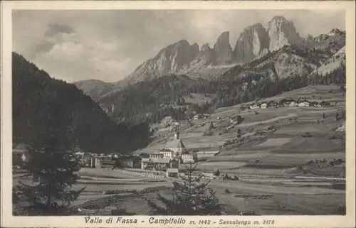 Sassolungo Valle Fassa Campitello *
