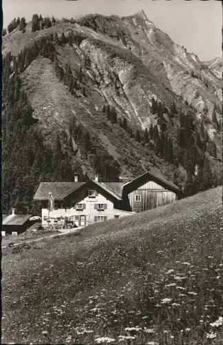 Baad Kleinwalsertal Starzelhaus    *