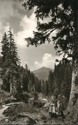 Kleinwalsertal Baergunttal Walmendinger Horn *