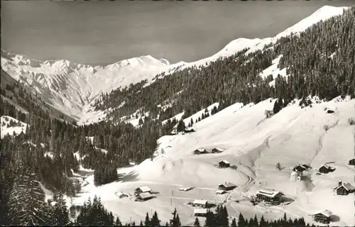 Baad Kleinwalsertal Starzelhaus *