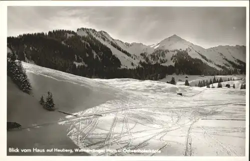 Kleinwalsertal Heuberg Walmendinger Horn Ochsenhoferkoepfen *