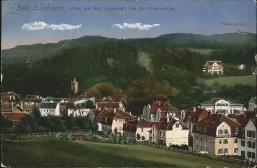 Bad Salzbrunn Wilhlemshoehe x