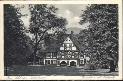 Bad Salzbrunn Schlesien Wiesenhaus Hochwald x