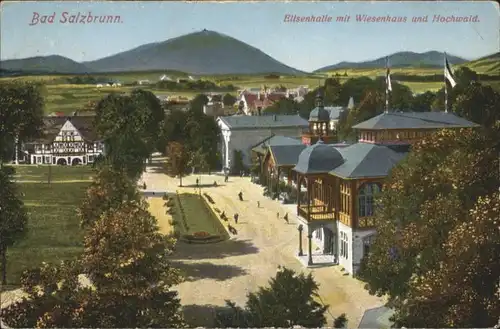 Bad Salzbrunn Wiesenhaus Elisenhalle Hochwald x