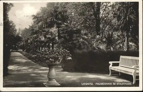 Liegnitz Palmenhain Stadtpark x