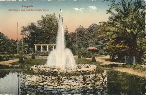 Liegnitz Palmenhain Leuchtspringbrunnen *