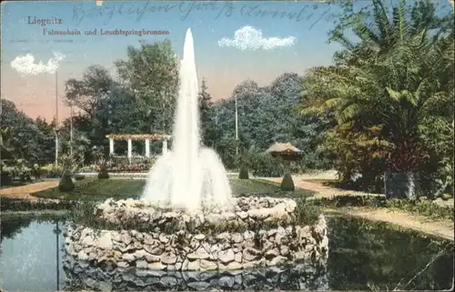 Liegnitz Palmenhain Leuchtspringbrunnen x