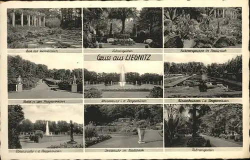 Liegnitz Park Palmengarten Kakteengruppe Bergerwiesen Wasserkunst Sonnenuhr Floetenspieler x