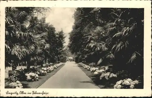 Liegnitz Allee Palmenhain x