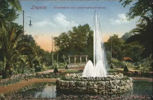 Liegnitz Palmenhain Leuchtspringbrunnen *