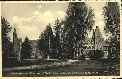 Goerbersdorf Dr Brehmers Sanatorium  x