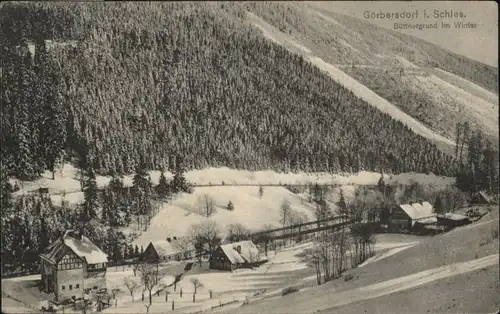 Goerbersdorf Buettnergrund Winter x