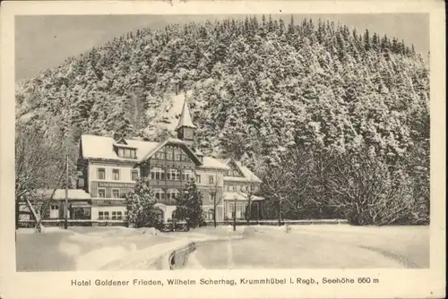 Krummhuebel Hotel Goldener Frieden Winter *