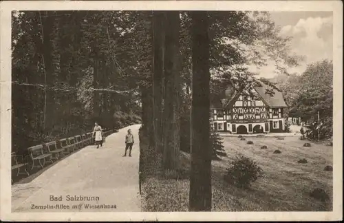 Bad Salzbrunn Zemplin Allee Wiesenhaus x