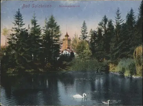 Bad Salzbrunn Schwedenteich Schwan x