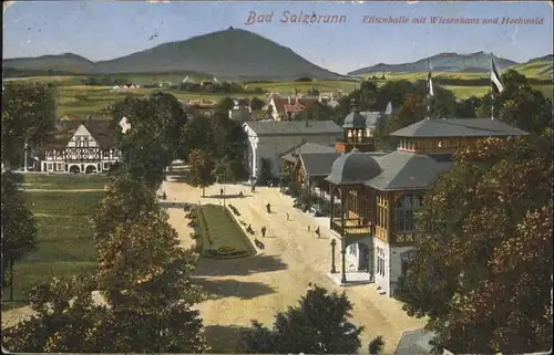 Bad Salzbrunn Elisenhalle Wiesenhaus Hochwald x