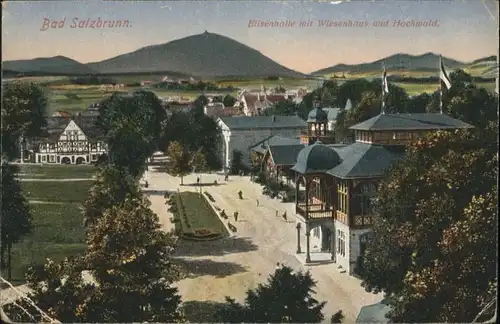 Bad Salzbrunn Elisenhalle Wiesenhaus Hochwald x