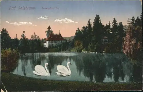 Bad Salzbrunn Schwedenteich Schwan x