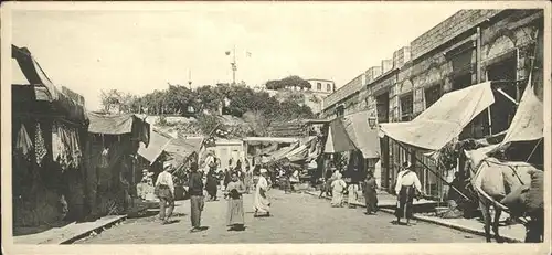 Alexandria Alexandrie Aegypten Bazar Pferd / Alexandria /