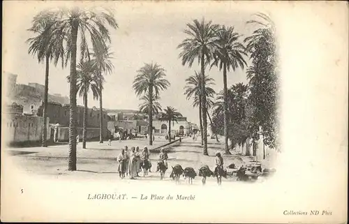 Laghouat Place Marche Esel