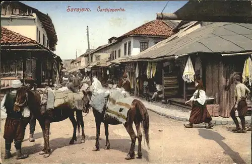 Sarajevo Pferd