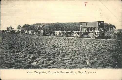 Buenos Aires Viasta Campestre