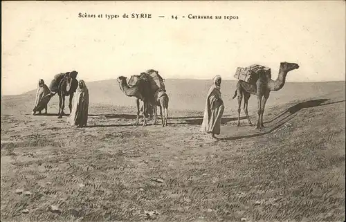 Syrien Kamel Caravane