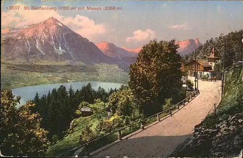 Niesen Sankt Beatenberg Kat. Niesen