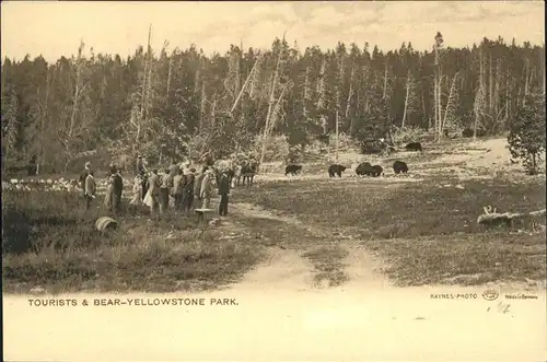 Yellowstone National Park Tourists
Bear Kat. Yellowstone National Park