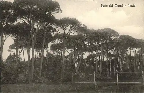 Forte dei Marmi Pineta