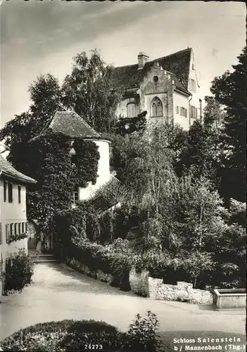 Salenstein Schloss  Kat. Salenstein