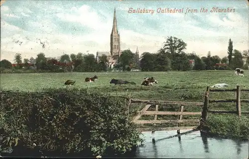 Salisbury Cathedral Kat. Salisbury