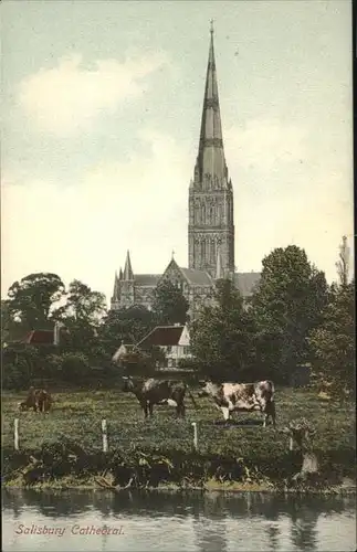 Salisbury Cathedral Kat. Salisbury