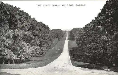 wz05658 Windsor Castle Castle
Long Walk Kategorie. United Kingdom Alte Ansichtskarten