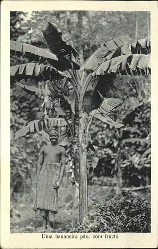 Bananen  Kat. Pflanzen