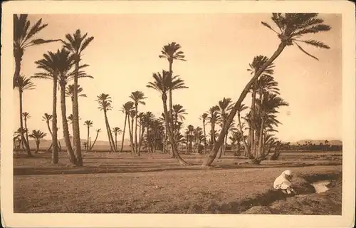 Biskra Oasis des Beni Nora