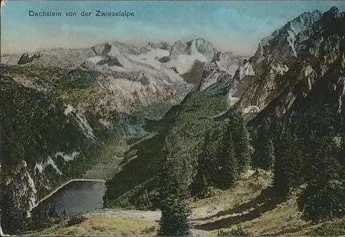 Dachstein Gebirge Zwieselalpe