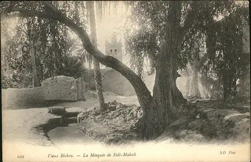 Biskra Mosquee de Sidi Maleck