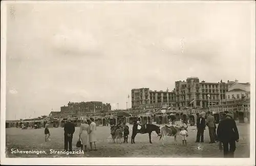 Scheveningen Strandgezicht Esel Kat. Scheveningen