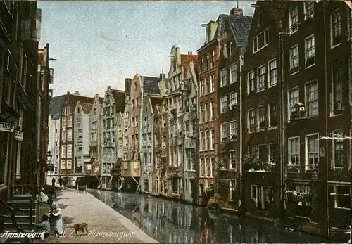 Amsterdam Achterburgwal  Hund Kat. Amsterdam